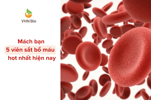 Viên sắt bổ máu tốt nên có chứa acid folic, vitamin B12 và vitamin C, liệu viên nang mềm trên có bổ sung các thành phần này không?
