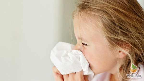Thuốc nam nào hiệu quả trong việc trị sổ mũi cho bé?